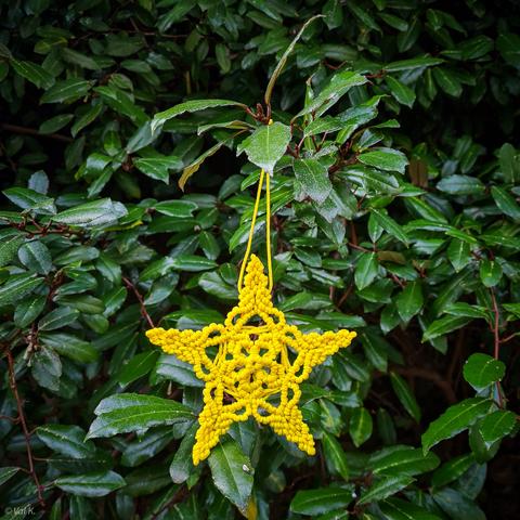Photo couleur carrée d'une étoile à 5 branches, en macramé jaune à plusieurs motifs, accrochée dans les feuilles vertes de l'oléastre.