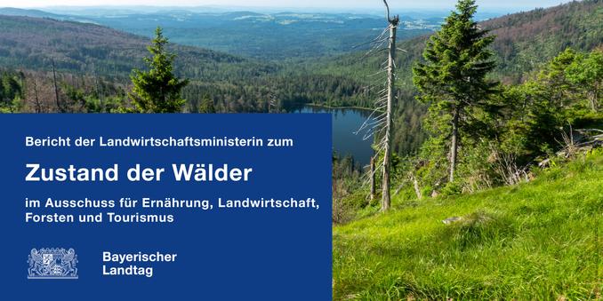 Textkachel: Bericht der Landwirtschaftsministerin zum Zustand der Wälder im Ausschuss für Ernährung, Landwirtschaft, Forsten und Tourismus.