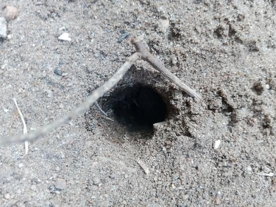 La sama truo, proksime.