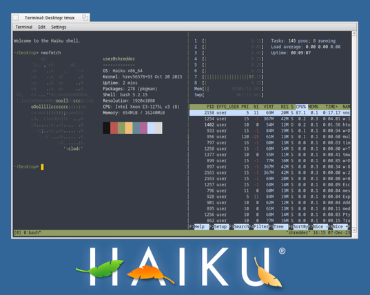 Screenshot from Haiku of a Terminal window running tmux. In the left pane is the output from neofetch. Htop is running in the right pane.