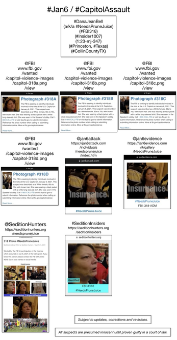 Photos of January 6th riot suspect Dana Jean Bell (Princeton, Texas).
