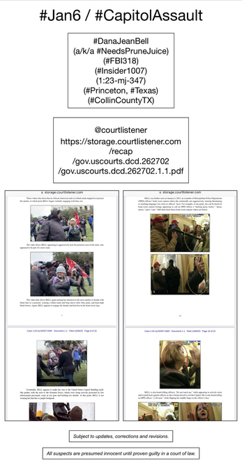 Screenshot of pages from court document pertaining to January 6th riot suspect Dana Jean Bell (Princeton, Texas).
