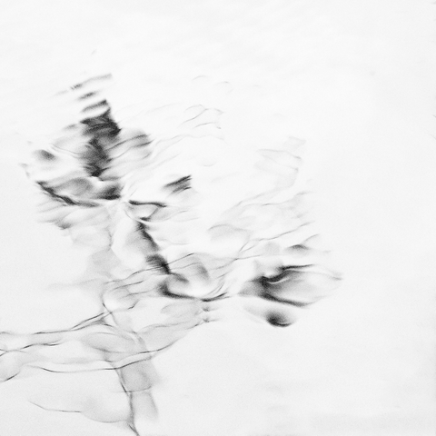 Black and white abstract of a reflection in a river