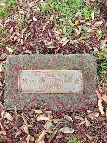 Historic plaque on the ground in Devonport with red pohutukawa stamens fallen onto it. Text reads: "ON THIS SITE IN 1897 NOTHING HAPPENED".