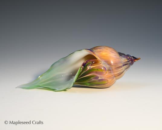 Glass seashell with fantastical colors - creamy orange purple at the tip, deep green tendrils at the bottom, and an interior that is a creamy white showing some green from the exterior. The shell is about 6 inches long and sitting in a light box for photographing. Glass flamework and photography by me.