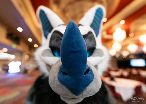 A close up wide angle photo of a bat fursuit that is mostly just a big, honking nose.