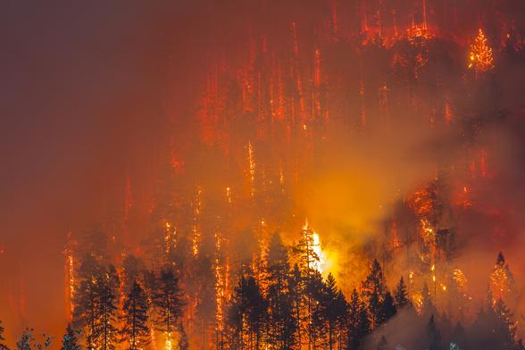 photo - drone - portion of a wildfire in PNW at night