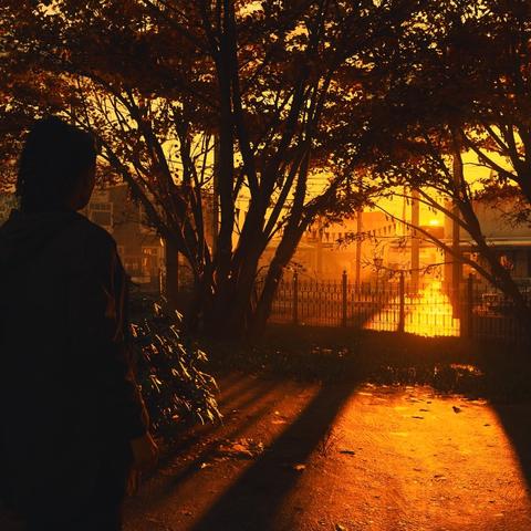 Screenshot aus Alan Wake II als Cover des Podcasts über Remedys Horrorgame von DieLetzte.website.