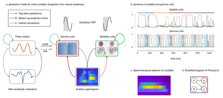 Fig 1. A generative model for on-line syllable recognition with rhythmic state-dependent precisions