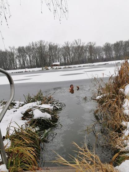 Zugefrorener See, dürres Gras im Vordergrund. Eine Person ist bis auf Kopf und Hände im Wasser.