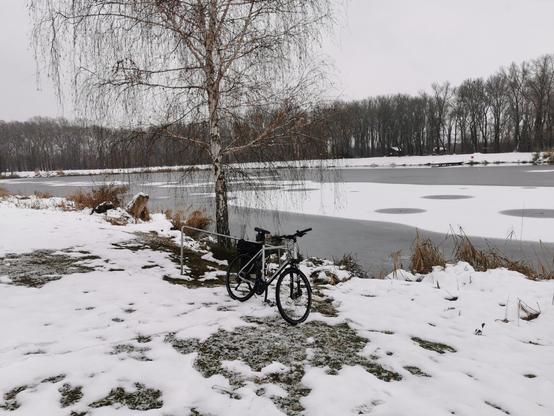 Zugefrorener See, verschneite Wiese im Vordergrund, Betontreppe mit Geländer führt nebrn einer Birke ins Wasser.
Davor steht ein Fahrrad.