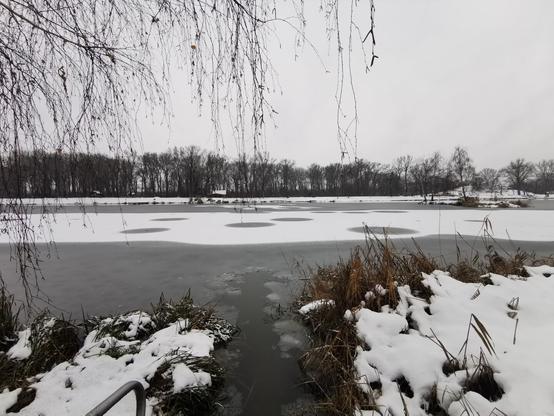 Einstieg an Treppe in zugefrorenen See. Links und rechts braunes Schilfgras.
Das Eis ist zerbrochen, wo ich baden war.