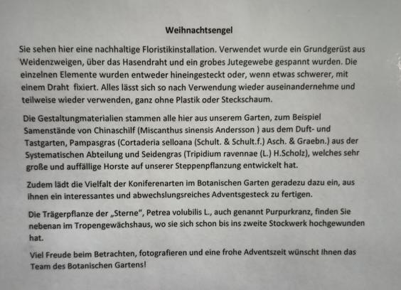 Erklärung zu unserer Installation 'Weihnachtsengel' im Botanischen Garten.