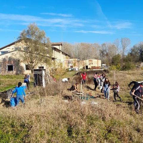 persone che piantano alberi in compagnia all'ecovillaggio Gaia terra