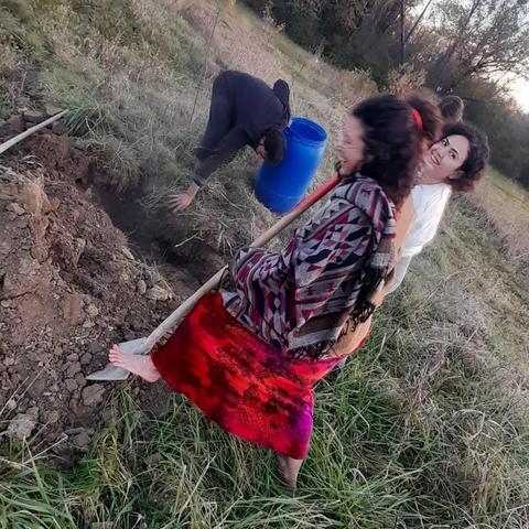 persone che piantano alberi in compagnia all'ecovillaggio Gaia terra