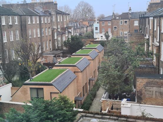 View from a window showing some new houses with some grass roofs.... or are they?