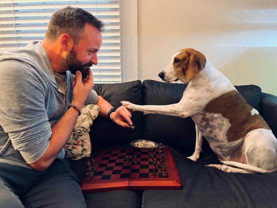 Pancake winning a game of chess against a bemused-looking human
