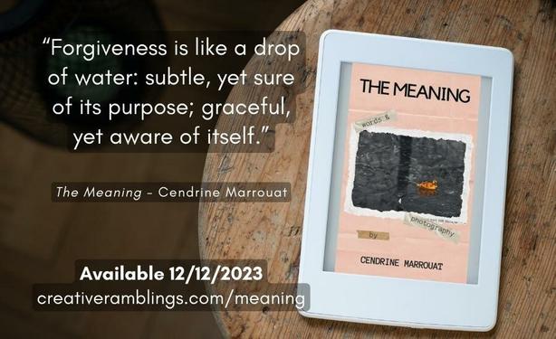 Promotional banner for Cendrine Marrouat's new book: The Meaning. An extract is included and reads: "Forgiveness is like a drop
of water: subtle, yet sure
of its purpose; graceful,
yet aware of itself." Available on December 12, 2023