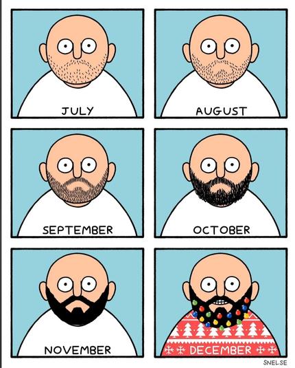 Cartoon drawing in 6 pictures: 
The drawings show the face of a bald man in a white T-shirt, with the name of a month written above it. It looks like a series of passport photos.
Picture 1: July. The man is slightly unshaven.
Picture 2: August. The man has a three-day beard.
Picture 3: September. The man has a full beard with light-colored patches.
Picture 4: October. The man has a black, wild full beard.
Picture 5: November. The full beard is neatly styled.
Picture 6: December. The man is wearing a red Christmas sweater and the black full beard is decorated with a colorful string of lights.