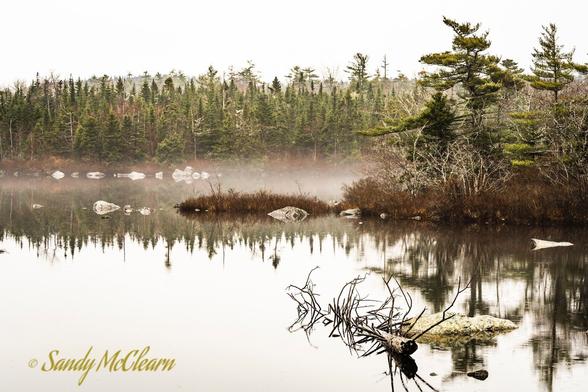 Calm lake with rocks and a dead tree in the foreground and the tree line reflecting on misty water in the background.