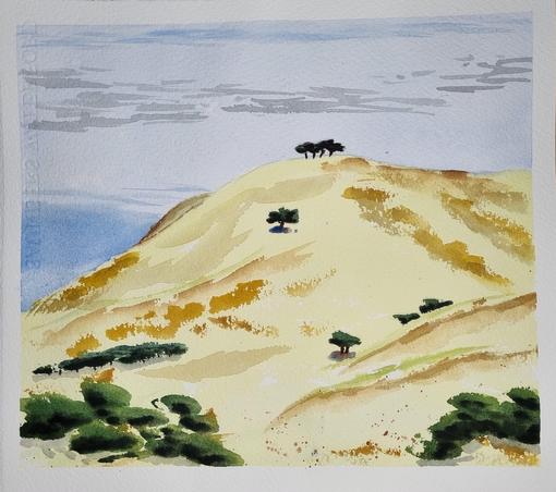Sunburnt, grassy hills with a few trees near the top, and some bushes further down.