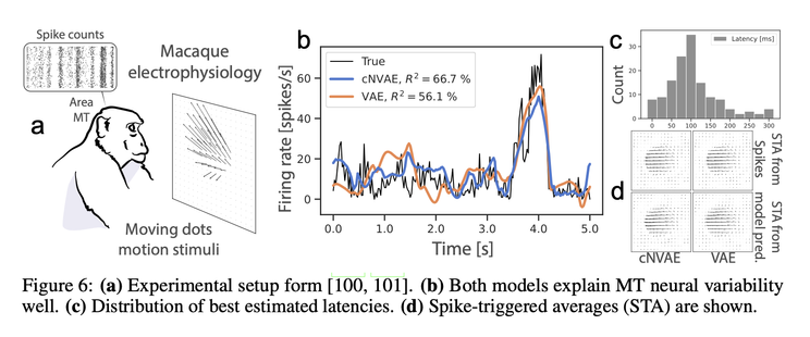 Figure 6: (a) Experimental setup form [100, 101]. (b) Both models explain MT neural variability well. (c) Distribution of best estimated latencies. (d) Spike-triggered averages (STA) are shown.