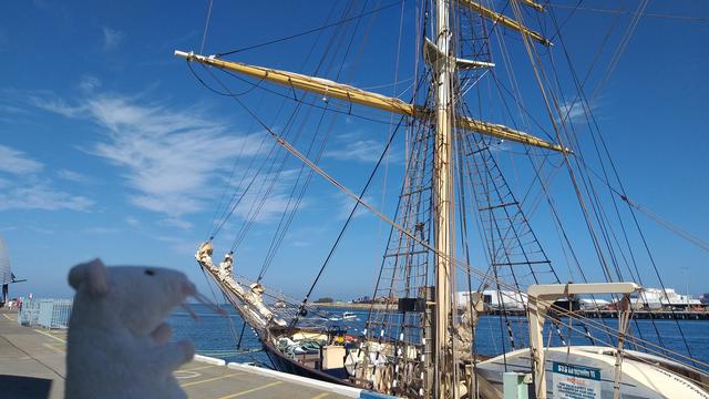 The sailing ship Leeuwin