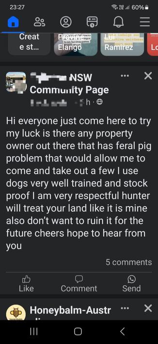 A screenshot from the local community Facebook group, where someone has posted asking for anyone needing a feral pig hunter:

"Hi everyone just come here to try my luck is there any property owner out there that has feral pig problem that would allow me to come and take out a few I use dogs very well trained and stock proof I am very respectful hunter will treat your land like it is mine also don’t want to ruin it for the future cheers hope to hear from you"