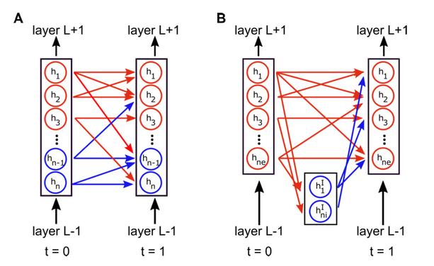 Figure 1: Illustration of ColEI and DANN weight matrix partitions with excitatory (red) and inhibitory (blue) populations. (A) The ColEl partition, which separates the neurons within a layer into E and I populations. (B) The DANN partition with a population of I neurons placed between E layers.