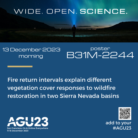 Fire return intervals explain different vegetation cover responses to wildfire restoration in two Sierra Nevada basins