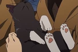 TP, the cat from the 86 anime