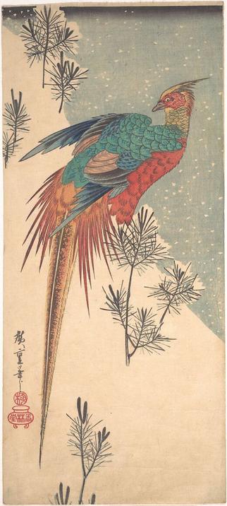Peinture verticale. Au centre de l'image, un majestueux faisan doré : huppe dorée, collerette orange, abdomen écarlate, dos vert émeraude, croupion et longue queue jaune d'or. 
Son plumage chatoyant contraste avec la blancheur du manteau neigeux qui recouvre le paysage environnant.
La peinture est structurée par une diagonale dessinant une pente enneigée piquetée de pousses de pin à gauche, avec en arrière-plan à droite un ciel bleu ponctué de flocons de neige.