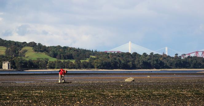 shellfish picker on Forth shore, Cramond.