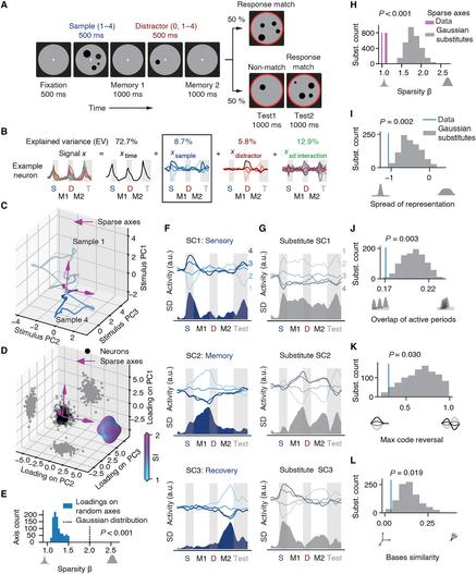 Fig. 2. The neuronal implementation of working memory.