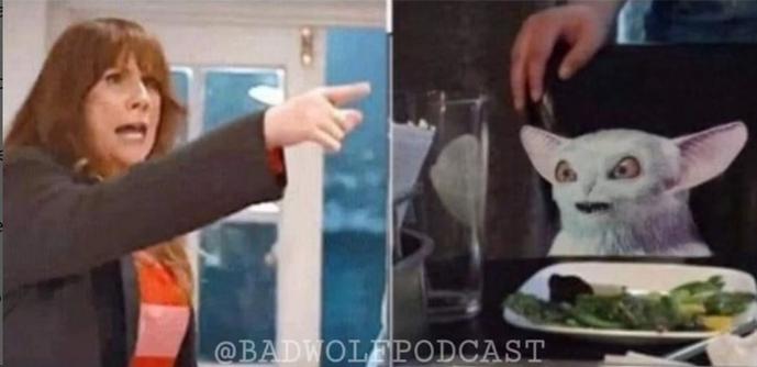 A parody of the 'Woman Yelling At Cat' meme watermarked by @BadWolfPodcast.

Image 1: Donna Noble, looking angry and pointing towards the 2nd panel.

Image 2: The Meep, looking angry and towards the 1st panel. It appears to be seated at a dining room table, behind a plate of food.