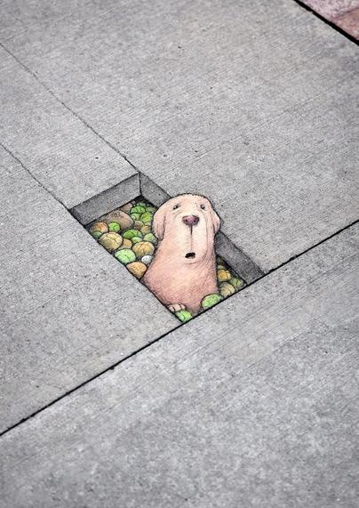 Streetart. A cute beige dog has been painted with chalk on a gray sidewalk. The dog is sitting up to its chest in a rectangular (painted) hole in the sidewalk and looks up at us from below with a look of amazement. Behind him are countless green and yellow tennis balls. Title: "Rufus is deeply concerned to hear that you've lost another ball."