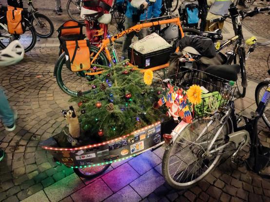 Ein kleiner geschmückter Weihnachtsbaum im Fahrradanhänger