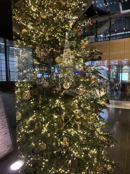 Christmas tree inside an office building, decorated mostly in gold, reflecting the much larger Christmas tree outside, a large tree all in gold, with the effect of the larger tree appearing as a small tree inside the office building tree