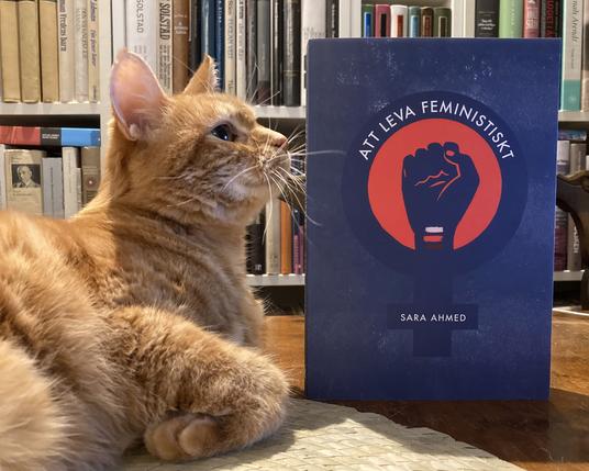 Katten min saman med ei svenskspråkleg utgåve av Sara Ahmeds Living a Feminist life