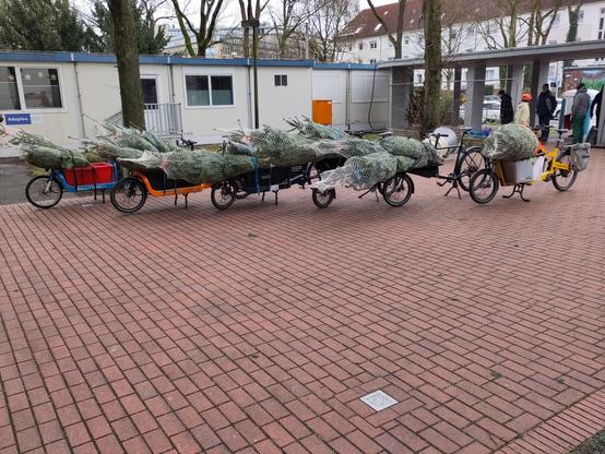Sechs Lastenräder unterschiedlicher Modelle sind nebeneinander geparkt und jeweils mit nach vorn hinausragenden Tannenbäumen beladen