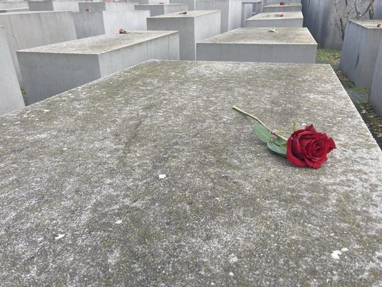 Rose liegt auf einer Stele des Holocaust-Denkmal in Berlin