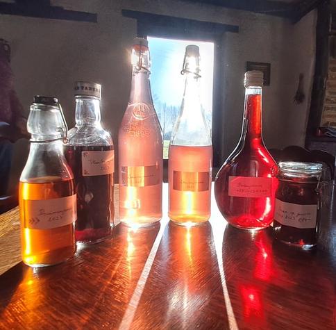 bottles of jenever in different colors