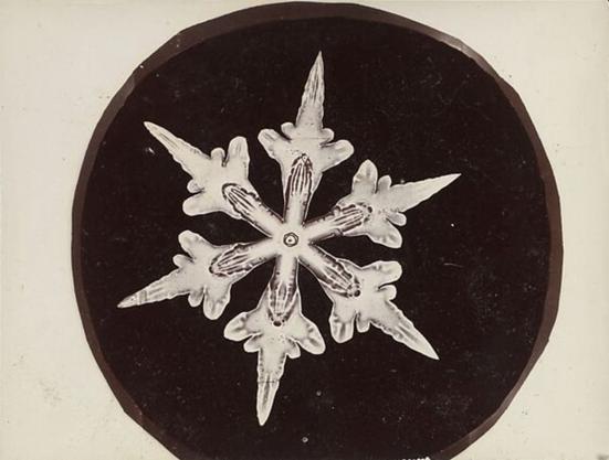 Flocon de neige dardant à partir de son cœur ses six branches comme de petites dagues.