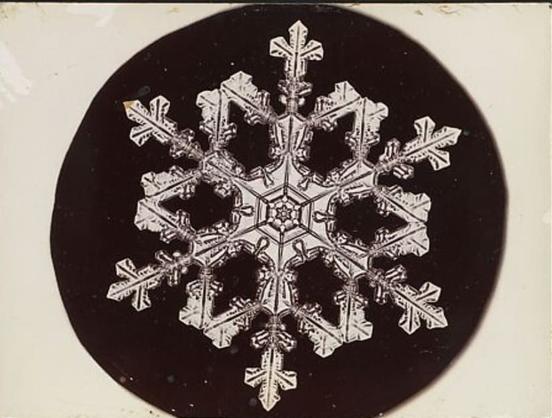 Flocon de neige dont chacune des six branches, à partir d’un petit hexagone central, se divise en trois, l’extrémité de la branche médiane formant comme une fleur de lys.