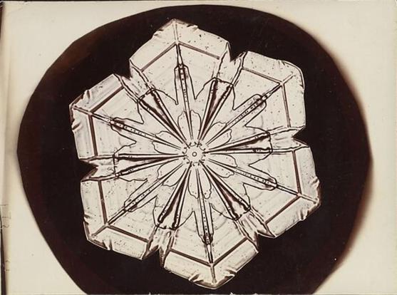 Flocon de neige formant presque un hexagone géométrique, avec le dessin d’une fleur en son cœur.