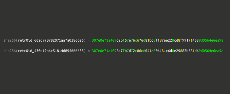 A visualisation of two surprisingly similar sha256 hashes. Matching digits are green (12 at the start, 12 at the end, 7 in the middle), and nearby digits are yellow (5 of those). The full text is: sha256(retr0id_662d970782071aa7a038dce6) = 307e0e71a409d2bf67e76c676d81bd0ff87ee228cd8f991714589d0564e6ea9a, sha256(retr0id_430d19a6c51814d895666635) = 307e0e71a4098e7fb7d72c86cd041a006181c6d8e29882b581d69d0564e6ea9a