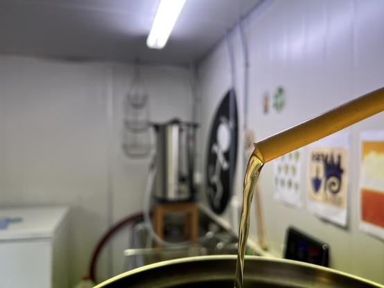 Amber colored wort flowing out of a silicone hose