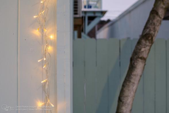 White wire strings of warm yellow holiday lights hang vertically against a white wooden wall. On the right side of the image, the trunk of a grey birch tree rises diagonally in front of a teal wooden fence, and the stairs and balcony of a second-floor apartment are visible beyond.