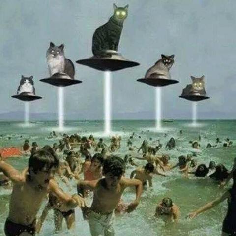 Cats in UFOs invade a beach, causing people to flee in terror. Image by _cosmicvoids via Instagram.