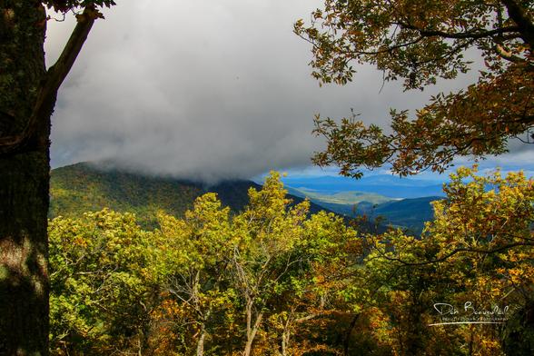 View of the Blue Ridge Mountains from the Blue Ridge Parkway. Green trees in the forefront with the sun shining brightly on them. Very low clouds covering the mountain top in mid-frame. In the distance, you can see the mountains. A tree with leaves and branches is on the right side of the frame.  Image at:  https://beautifulsunphotography.com/featured/low-clouds-deb-beausoleil.html  See more art & blog at: https://beautifulsunphotography.com/ https://debbeautifulsunphotography.com/  https://debbeausoleil.com